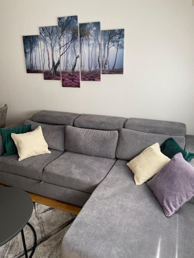 Apartman Pinora, Bazen&Spa Zlatibor Exterior foto